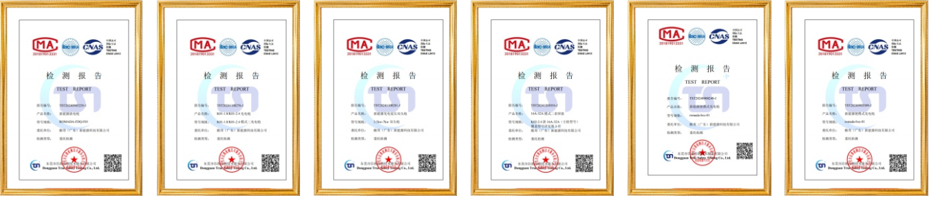 Certificate of Honor VII